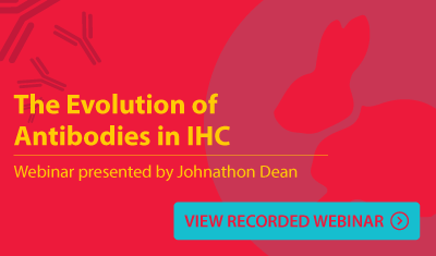 The Evolution of Antibodies in IHC