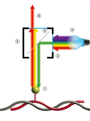 ZytoLight Method